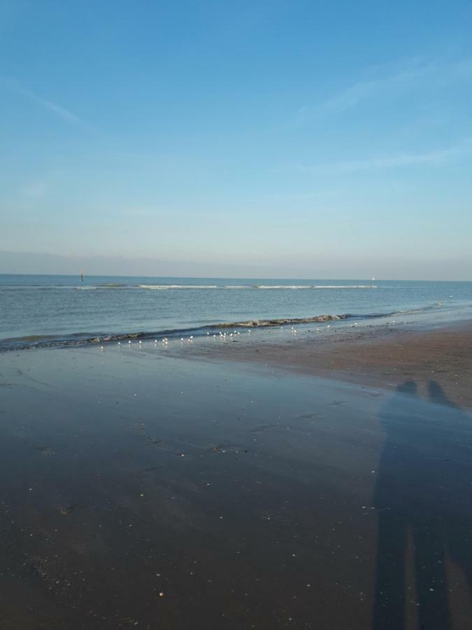 Shamrock Oostduinkerke Lägenhet Exteriör bild